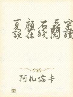 夏颜石磊穿越小说在线阅读