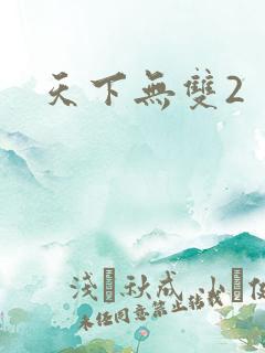 天下无双2