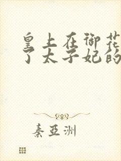 皇上在御花园c了太子妃的网剧