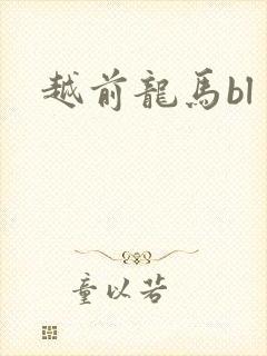 越前龙马bl
