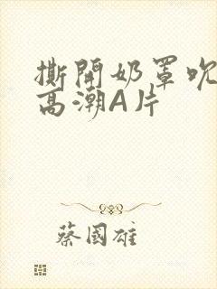 撕开奶罩吮奶头高潮A片