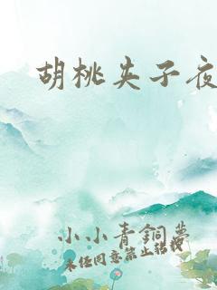 胡桃夹子夜未眠