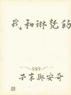 我和琳梵的故事