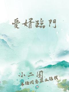 爱婿临门