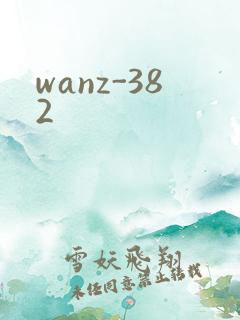 wanz-382