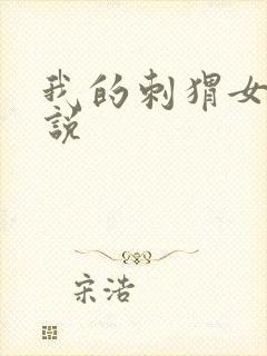 我的刺猬女孩小说