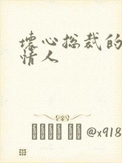 坏心总裁的女佣情人