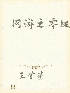 网游之零级神话