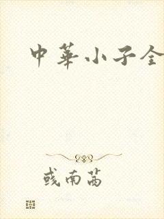 中华小子全集