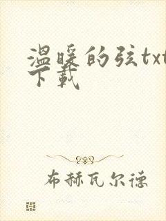 温暖的弦txt下载