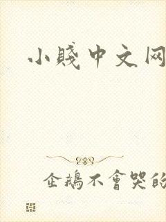 小贱中文网