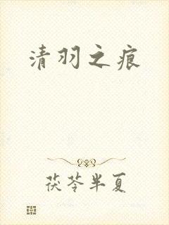 清羽之痕