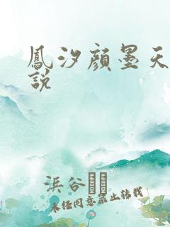 凤汐颜墨天问小说