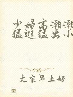 少妇高潮潮喷到猛进猛出小说