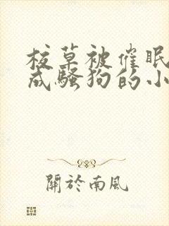 校草被催眠洗脑成骚狗的小说