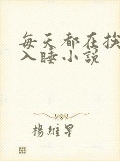 每天都在挨龠中入睡小说