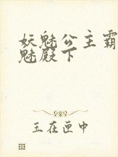 妖魅公主霸上邪魅殿下