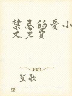 禁忌的爱小说全文免费