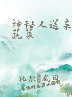 神秘人送来千斤蔬菜