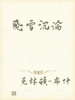 飞雪沉沦