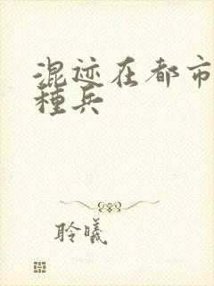 混迹在都市的特种兵