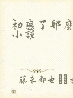 初恋了那么多年小说