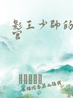 影王少帅的女长官