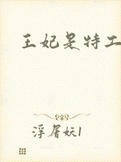 王妃是特工