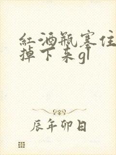 红酒瓶塞住不准掉下来gl