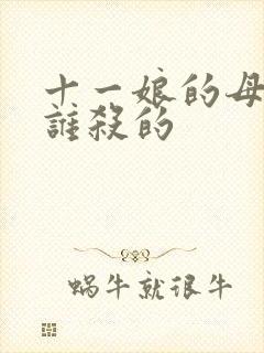 十一娘的母亲是谁杀的