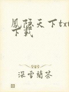 凤隐天下txt下载