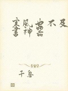 寒风也不及她追书神器