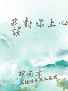 我对你上心了小说