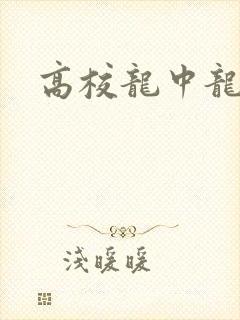高校龙中龙