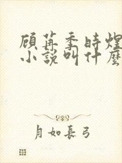 顾苒季时煜电竞小说叫什么名字