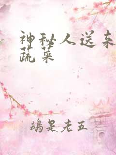 神秘人送来千斤蔬菜