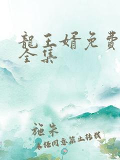 龙王婿免费完结全集