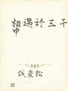 相遇于三千肉文中