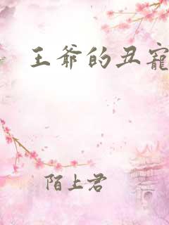 王爷的丑宠