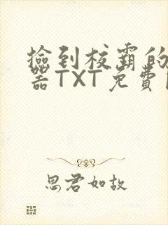 捡到校霸的遥控器TXT免费阅读