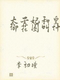 太子妃和皇帝在御花园叫什么小说