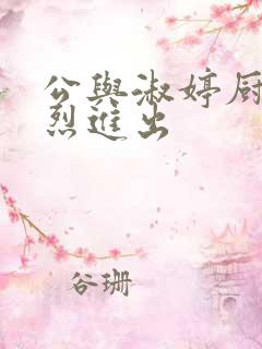 公与淑婷厨房猛烈进出