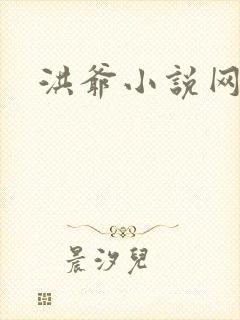 洪爷小说网