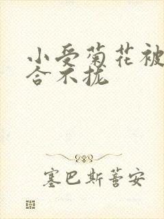 小受菊花被双龙合不拢