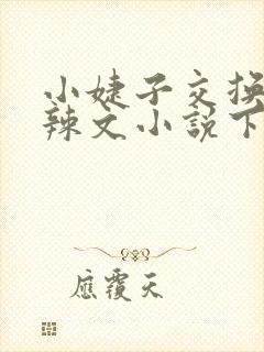 小婕子交换系列辣文小说下载