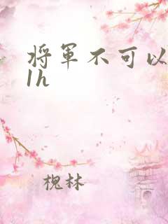 将军不可以1v1h