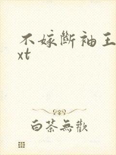 不嫁断袖王爷txt