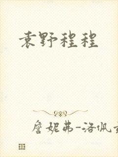 袁野程程