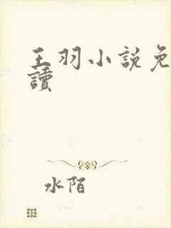 王羽小说免费阅读