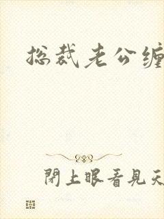 总裁老公缠上门